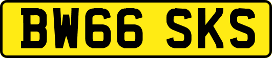 BW66SKS