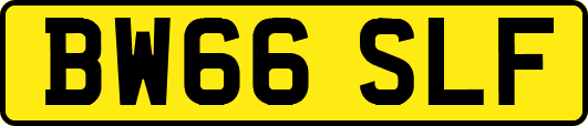 BW66SLF