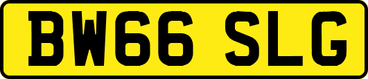 BW66SLG