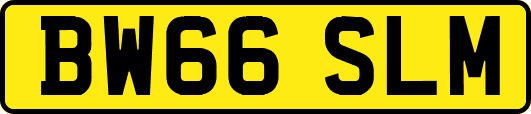 BW66SLM