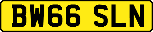 BW66SLN