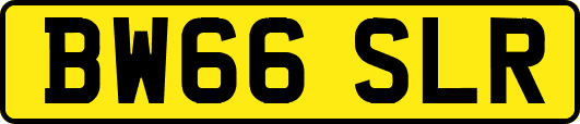 BW66SLR