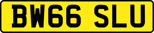 BW66SLU