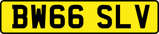 BW66SLV