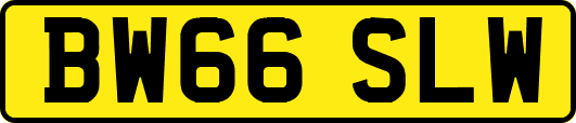 BW66SLW