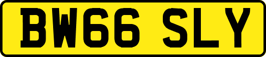 BW66SLY