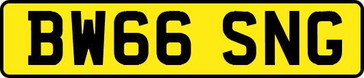 BW66SNG