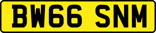 BW66SNM