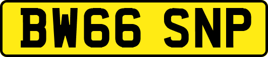 BW66SNP