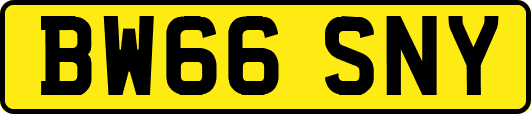 BW66SNY