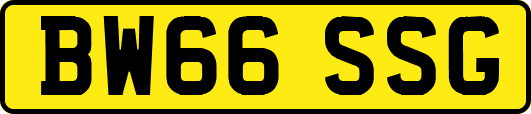 BW66SSG