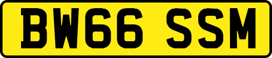 BW66SSM