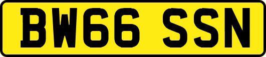 BW66SSN