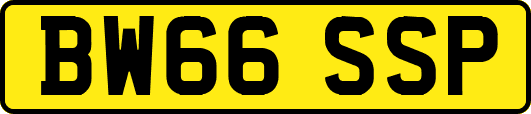 BW66SSP