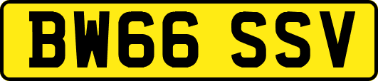 BW66SSV