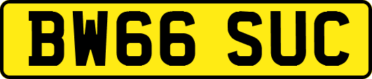 BW66SUC