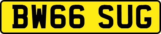 BW66SUG