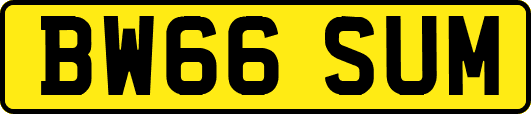BW66SUM