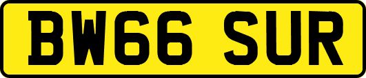 BW66SUR