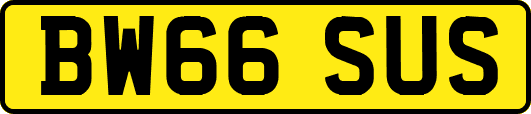 BW66SUS