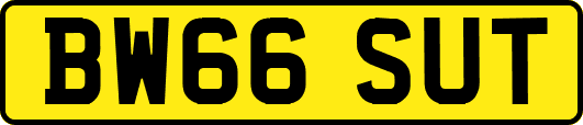 BW66SUT