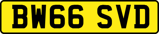 BW66SVD