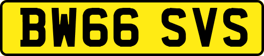 BW66SVS