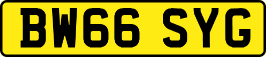 BW66SYG