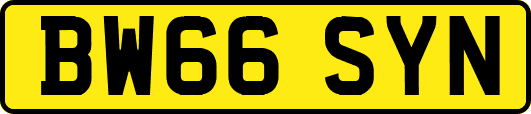 BW66SYN