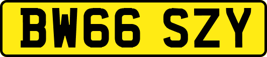 BW66SZY