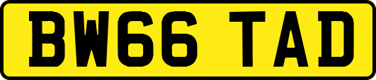 BW66TAD