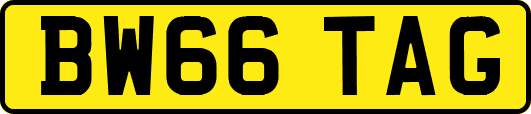 BW66TAG
