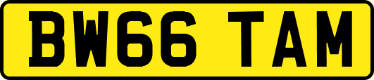 BW66TAM