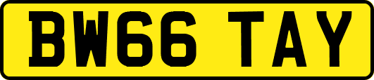 BW66TAY