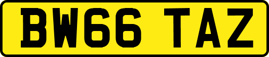 BW66TAZ