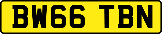BW66TBN