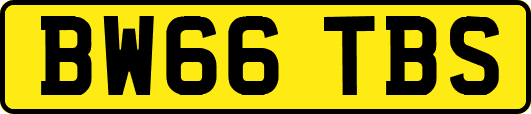 BW66TBS
