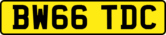 BW66TDC