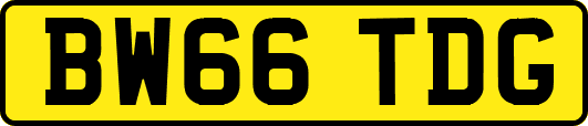 BW66TDG