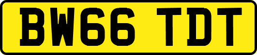 BW66TDT