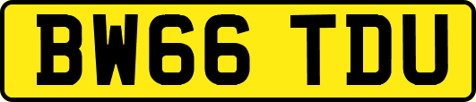 BW66TDU