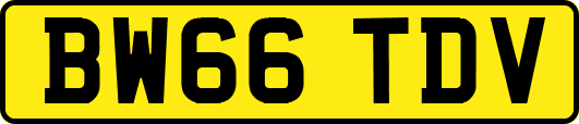 BW66TDV