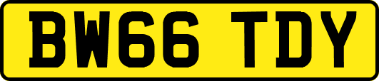 BW66TDY