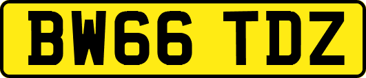 BW66TDZ