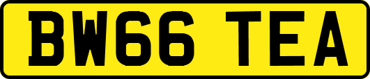 BW66TEA