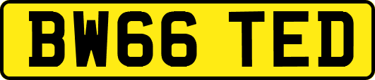 BW66TED