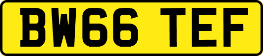 BW66TEF