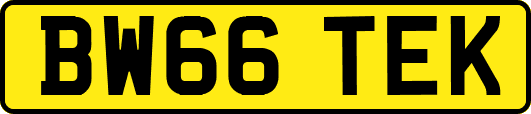 BW66TEK