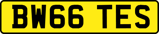 BW66TES