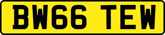 BW66TEW
